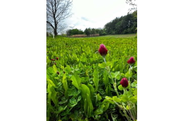 Image of RaKK Fuel Groundwork 1/2 Acre, Large, 7518