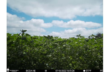 Image of RaKK Fuel Hunters Haven 1/4 Acre, Large, 7522