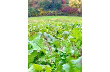 Image of RaKK Fuel Tombstone 1/2 Acre, Small, 7536