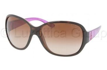 Image of Ralph Lauren RL8090 Sunglasses 517513-6415 - Dark Havana Frame, Brown Gradient Lenses