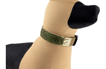 Image of Raptor Tactical K9 Odin Collar, Rhodesian, K9OC-RH-45D