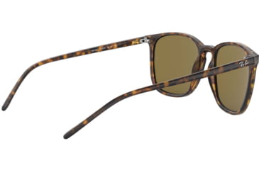 Image of Ray-Ban RB4387 Sunglasses 710/73-56 - Havana Frame, Dark Brown Lenses