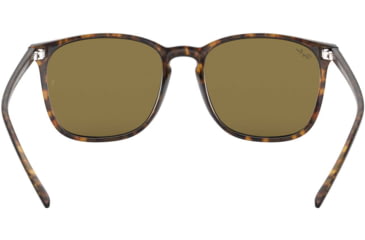 Image of Ray-Ban RB4387 Sunglasses 710/73-56 - Havana Frame, Dark Brown Lenses