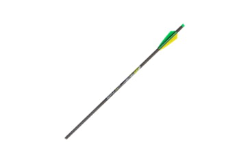 Image of Allen Cx600 Entry Crossbow Bolt, Black, 22in, 93222