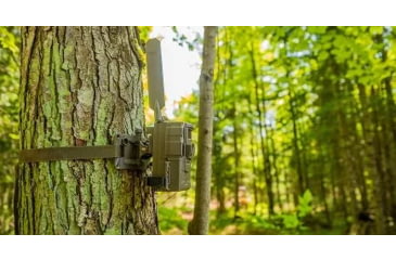 Image of Reveal by Tactacam 3.0 Tree Mount, Black, R-A-TM-V3