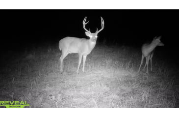 Image of Reveal by Tactacam Tactacam Reveal X Gen 2.0 Hunting Camera, Gray, Medium, TA-TC-XG2