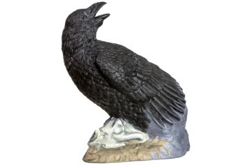 Image of Rinehart Raven Target, Black 85135