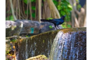 Image of Rokinon 135mm F2.0 Telephoto Camera Lens for Samsung NX, Black 135M-NX