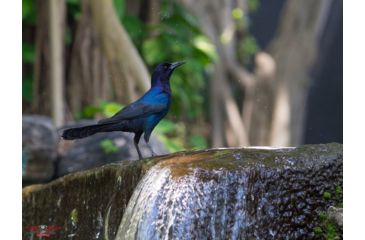 Image of Rokinon 135mm F2.0 Telephoto Camera Lens for Samsung NX, Black 135M-NX