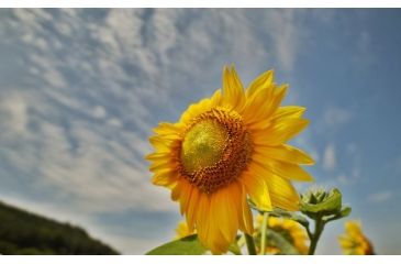 Image of Rokinon 14mm F2.8 IF ED Super Wide Angle Camera Lens for Canon EF Mount, Black FE14M-C