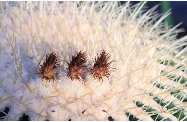 Image of Rokinon Cine DS 135mm T2.2 Telephoto Cine Camera Lens for Canon EF, Black DS135M-C