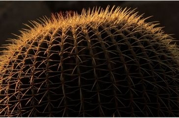 Image of Rokinon Cine DS 135mm T2.2 Telephoto Cine Camera Lens for Canon EF, Black DS135M-C