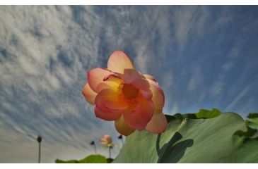 Image of Rokinon DS 14mm T3.1 Cine Camera Lens for Canon EF, Black DS14M-C