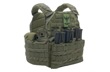 Image of Shellback Tactical SF Plate Carrier, Ranger Green, Medium, GSA-SF-RG-MD