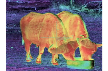 Image of Shinenyx AIM101 384 5.2x48mm Thermal Imaging Rifle Scope, Black, AIM101