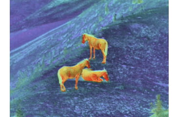 Image of Shinenyx AIM101 384 5.2x48mm Thermal Imaging Rifle Scope, Black, AIM101