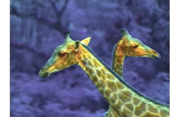 Image of Shinenyx AIM101 384 5.2x48mm Thermal Imaging Rifle Scope, Black, AIM101