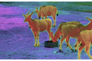 Image of Shinenyx AIM101 384 5.2x48mm Thermal Imaging Rifle Scope, Black, AIM101