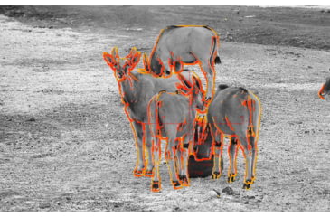 Image of Shinenyx AIM101 384 5.2x48mm Thermal Imaging Rifle Scope, Black, AIM101