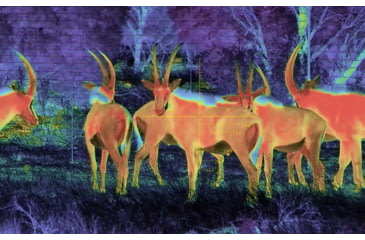 Image of Shinenyx AIM101 384 5.2x48mm Thermal Imaging Rifle Scope, Black, AIM101