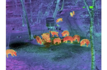 Image of Shinenyx G1A/384 1x5.45-16.5mm Thermal Imaging Monocular, Black, G1A