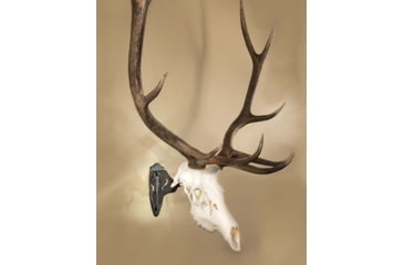 Image of Skull Hooker Big Hooker Short Arm Accessory, Black, SKH-BHSA-ASSY-BLK