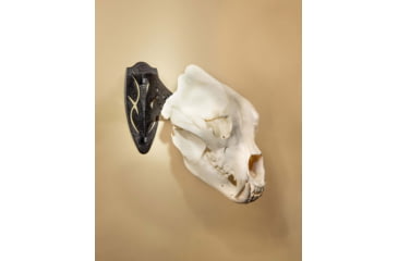 Image of Skull Hooker Big Hooker Short Arm Accessory, Black, SKH-BHSA-ASSY-BLK