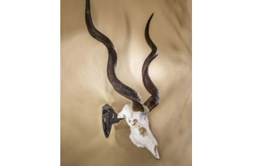 Image of Skull Hooker Big Hooker Short Arm Accessory, Black, SKH-BHSA-ASSY-BLK