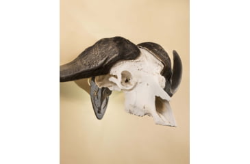 Image of Skull Hooker Big Hooker Short Arm Accessory, Black, SKH-BHSA-ASSY-BLK