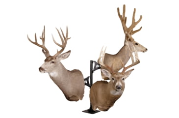 Image of Skull Hooker Trophy Tree Shoulder Pedestal Mount, Black, SKH-STTSM-BLK