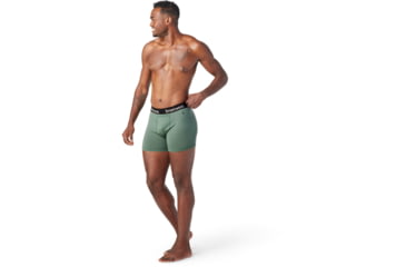 Image of Smartwool Merino 150 Boxer Brief Boxed - Mens, 364 Sage, Extra Large, SW014011364XL