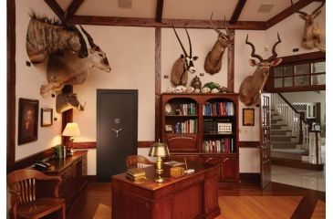 Image of Snapsafe, A Hornady Company Aux Vault Door, 75415