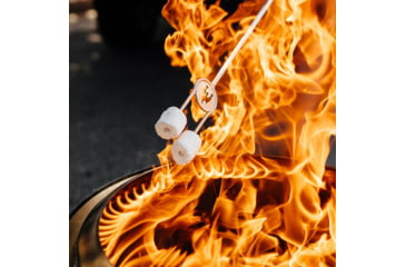 Image of Solo Stove Bonfire and Stand, Stainless Steel, Medium, ssbon-sd