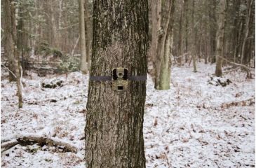 Image of Spy Point Force 12 12MP Invisible LED HD Trail Camera w/Time-Lapse and Multi-shot, Camo Force-12
