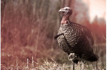 Image of Spy Point Xcel Action Camera Decoy Mount, Black XHD-DM