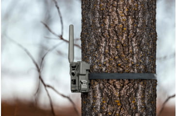 Image of Spypoint Flex Camera, Gray, FLEX