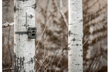 Image of Spypoint Flex Camera, Gray, FLEX