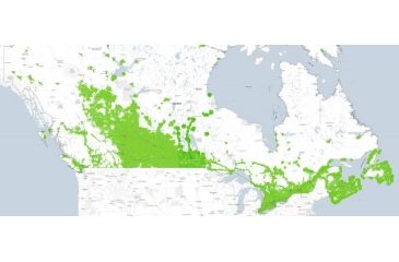 Image of Spypoint Link 4G Cellular Trail Camera, 12 MP, 62 LEDs, HD video with sound, Camoflauge Link 4G