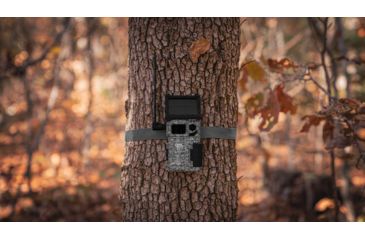 Image of Spypoint LINK-MICRO-S-LTE Trail Camera, Nationwide Cell Service, Camo, LINK-MICRO-S-LTE