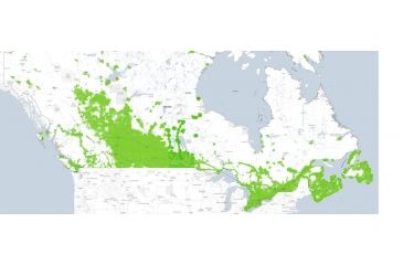 Image of Spypoint MMS Cellular Trail Camera, 10 MP, 62 LEDs, HD video, Camoflauge MMS