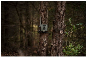 Image of Spypoint SB500 FLEX Security Box Gray Steel Fits Flex Trail Camera