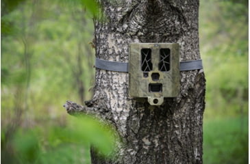 Image of Spypoint Security Box For 31 LED Trail Cameras, SB-400