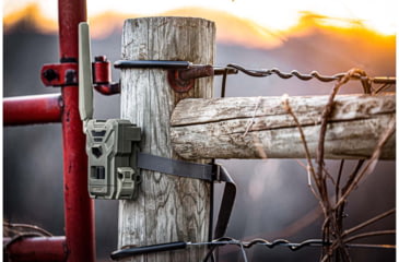 Image of Spypoint FLEX-M Cellular Trail Camera 28MP Grey 299C5F38