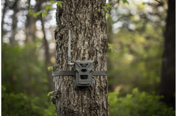 Image of Spypoint FLEX-M Cellular Trail Camera 28MP Grey 299C5F38