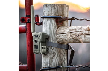 Image of Spypoint FLEX-M Cellular Trail Camera - Twin Pack F4BA2688