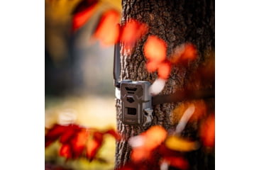 Image of Spypoint FLEX-M Cellular Trail Camera - Twin Pack F4BA2688