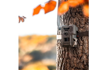 Image of Spypoint FLEX-M Cellular Trail Camera - Twin Pack F4BA2688