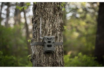 Image of Spypoint Spypoint Flex-M Cellular Camera w/Solar Panel