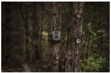 Image of Spypoint Steel Security Flex/Flex G-36 Box, 16-Guage Steel, Pad/Cable Lock, SB500S