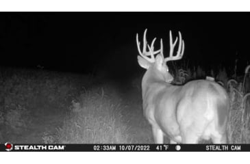 Image of Stealth Cam Fusion-X Pro Cellular Hunting Trail Camera, 36MP, Video &amp; Photo, Camo, STC-FXWT